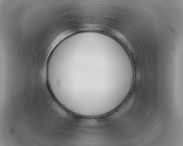 X0000114581370200911091227