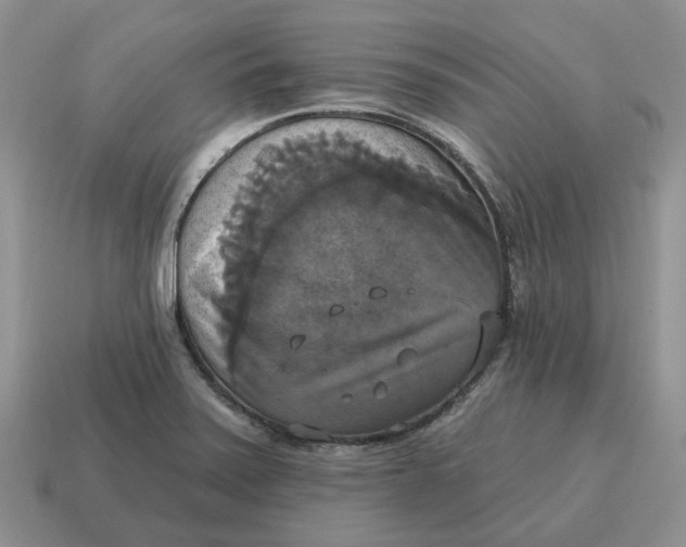 X0000114581371200911091227