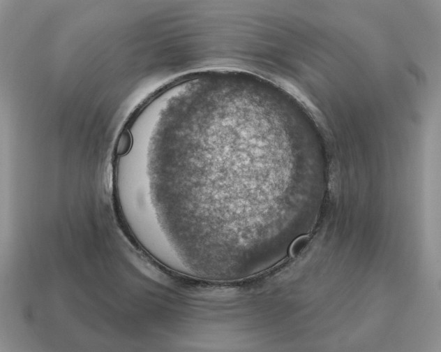 X0000114581372200911091227