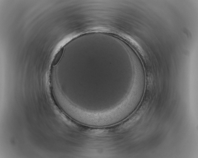 X0000114581373200911091227