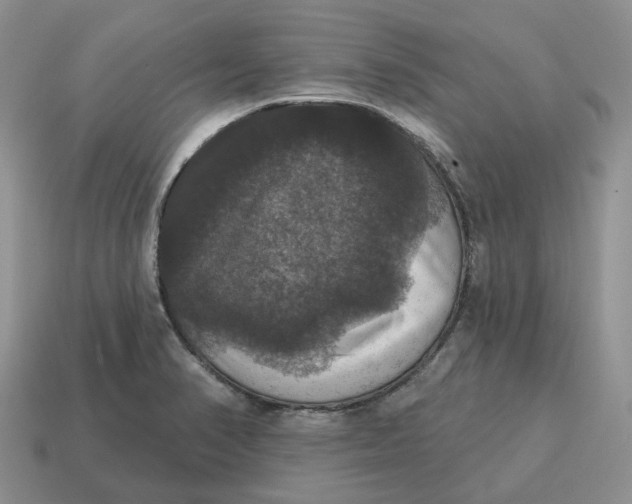 X0000114581374200911091227