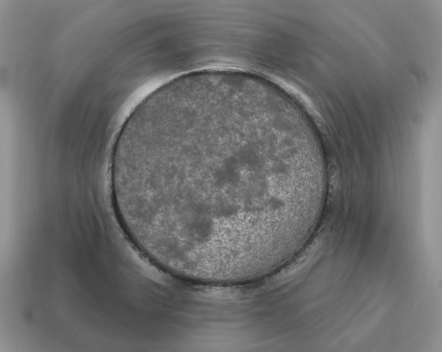 X0000114581375200911091227