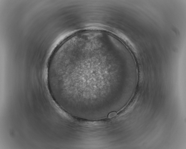 X0000114581376200911091227