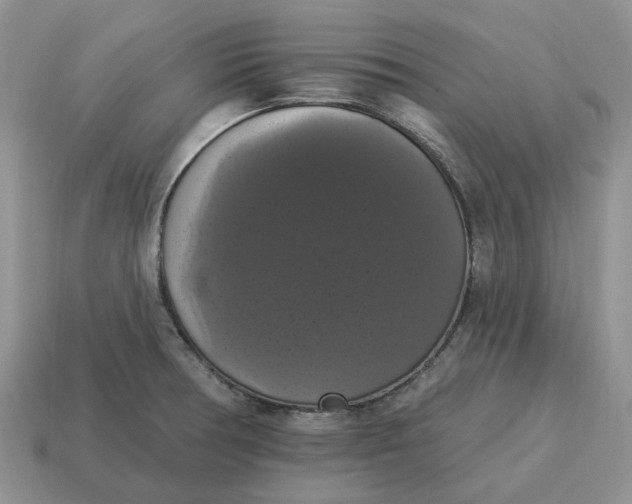 X0000114581378200911091227