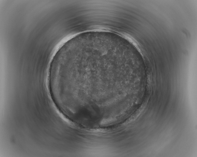 X0000114581379200911091227