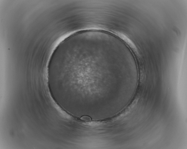 X0000114581380200911091227