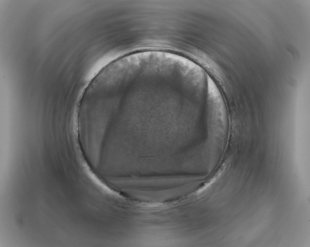 X0000114581382200911091227