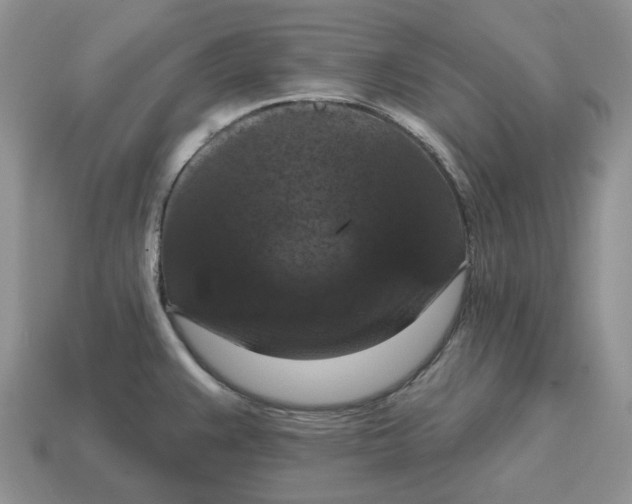 X0000114581383200911091227