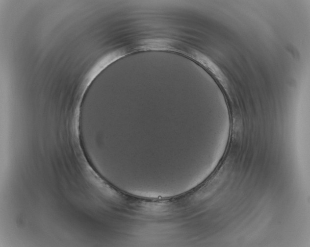 X0000114581386200911091227