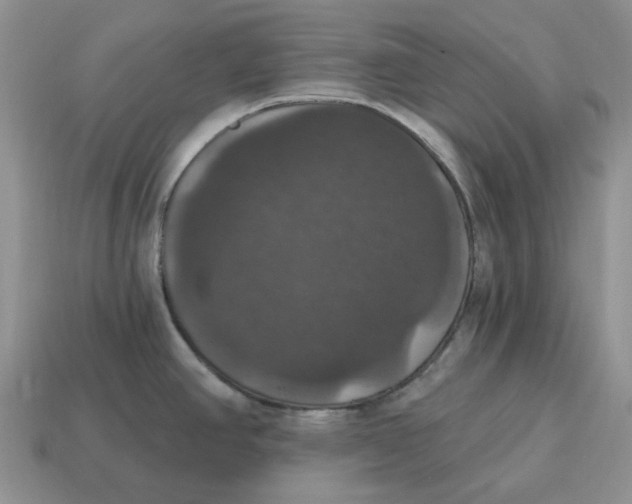 X0000114581390200911091227