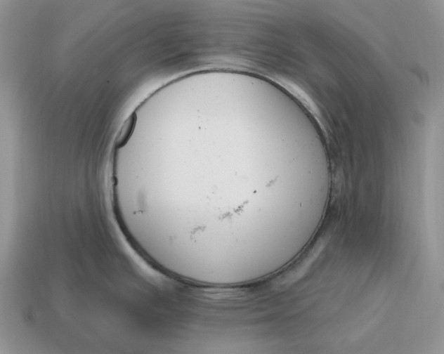 X0000114581391200911091227