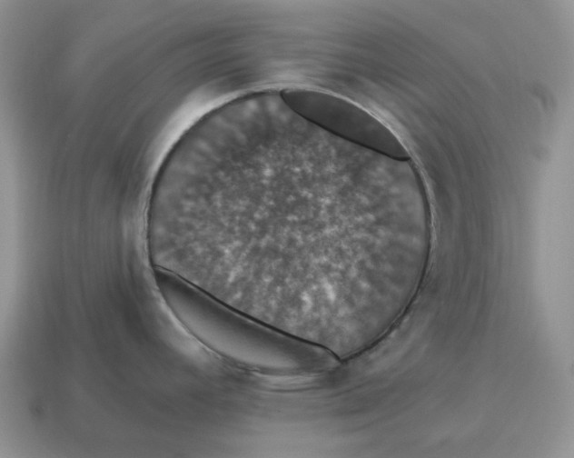 X0000114581392200911091227