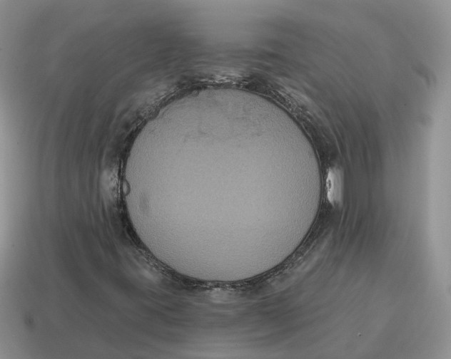 X0000114581395200911091226