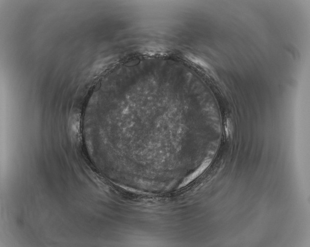 X0000114581396200911091226