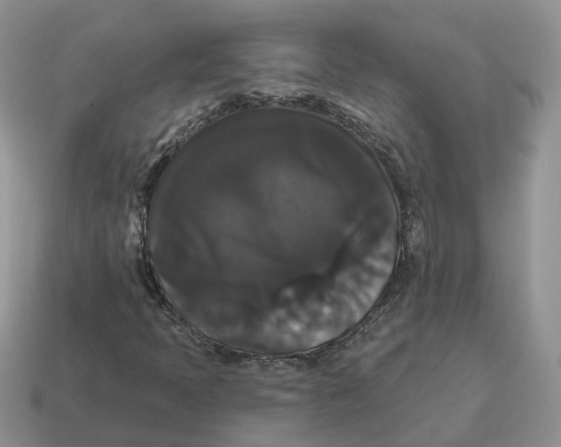 X0000114581397200911091226