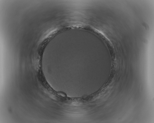 X0000114581399200911091226