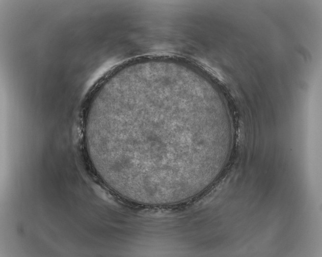 X0000114581400200911091226