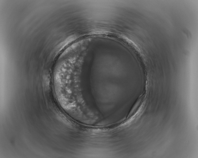 X0000114581401200911091226