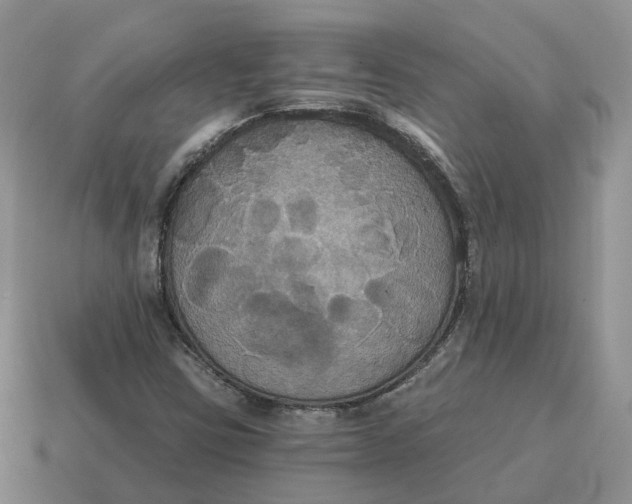 X0000114581403200911091226