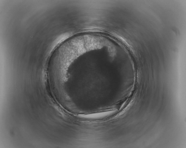 X0000114581405200911091226