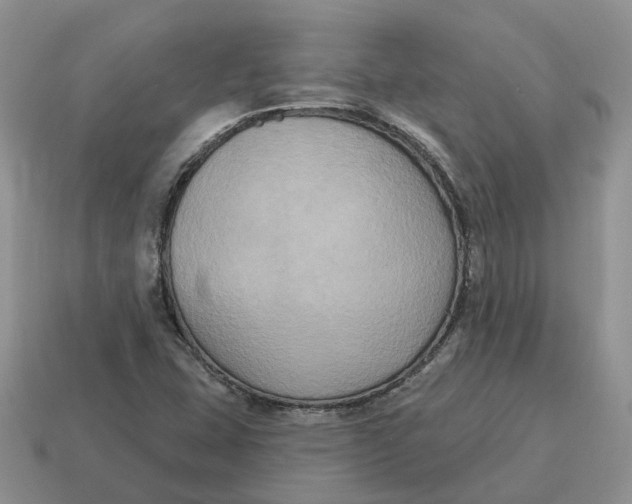 X0000114581407200911091226