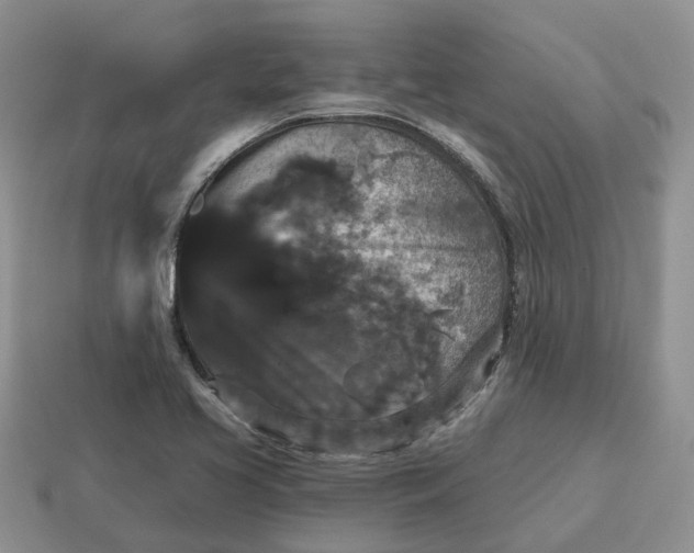 X0000114581413200911091227