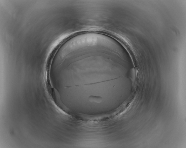 X0000114581414200911091227