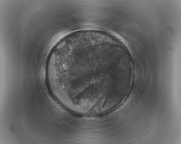 X0000114581415200911091227