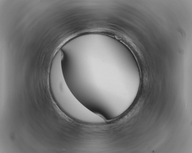 X0000114581417200911091227