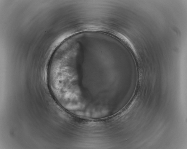 X0000114581419200911091227