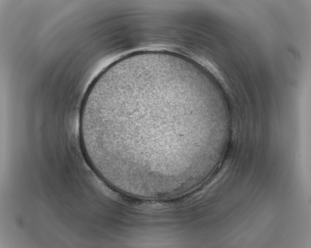 X0000114581420200911091227