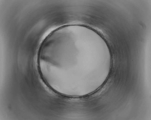 X0000114581422200911091227