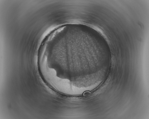 X0000114581424200911091227