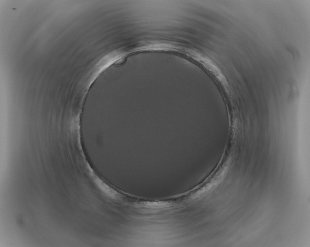 X0000114581425200911091227