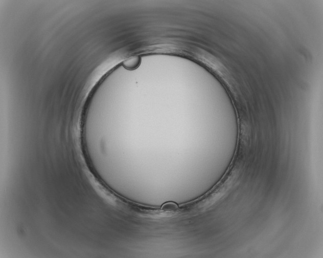 X0000114581426200911091227