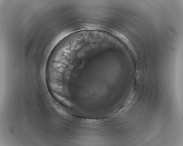 X0000114581427200911091227