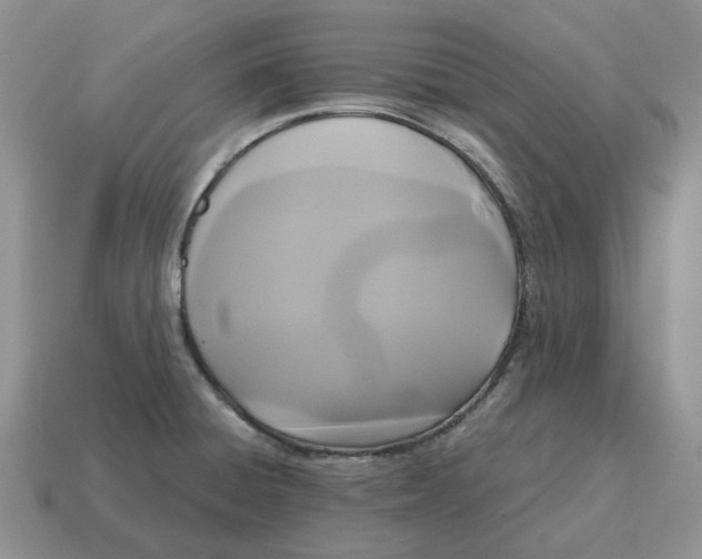 X0000114581428200911091227