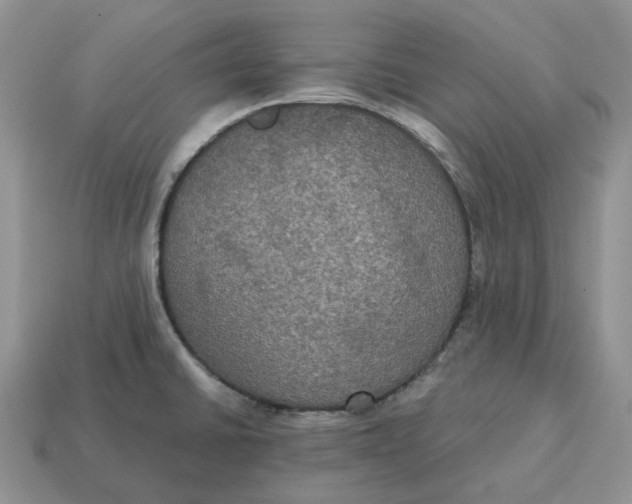 X0000114581430200911091227