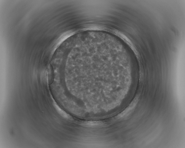 X0000114581433200911091227