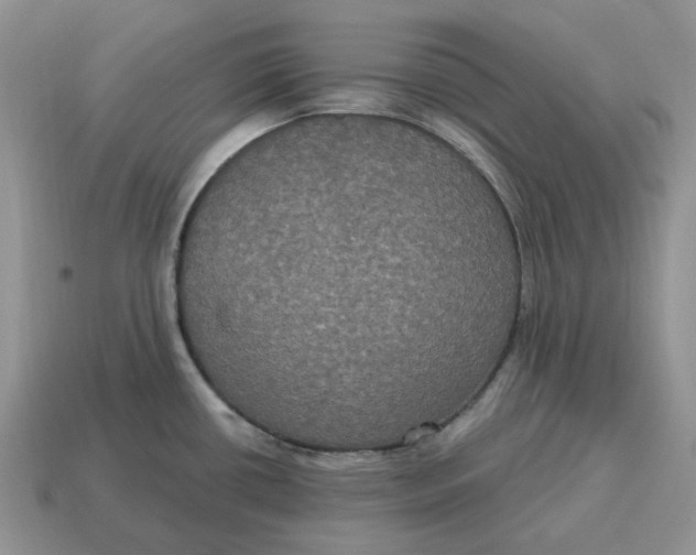 X0000114581434200911091227