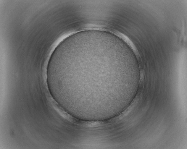 X0000114581435200911091227