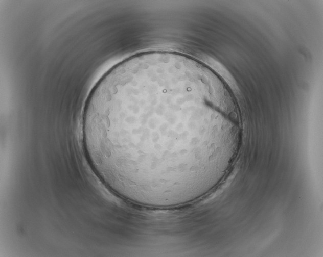 X0000114581436200911091227