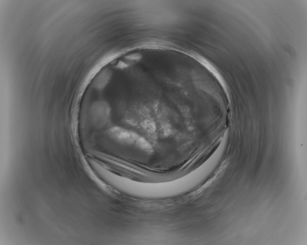 X0000114581437200911091227