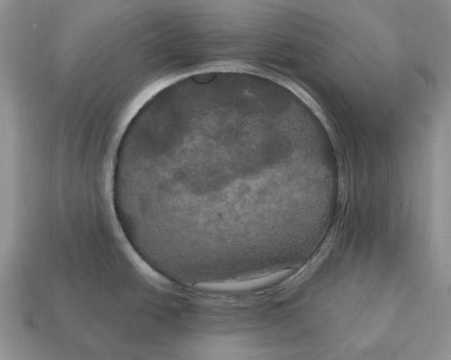 X0000114581438200911091227