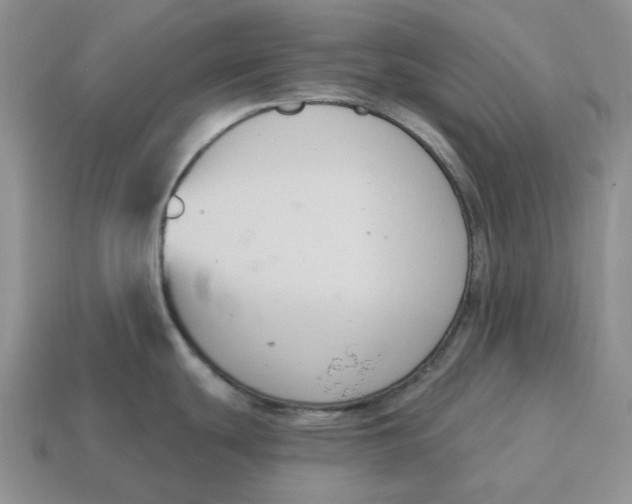 X0000114581439200911091227