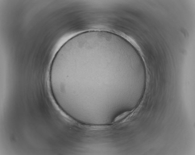 X0000114581440200911091227