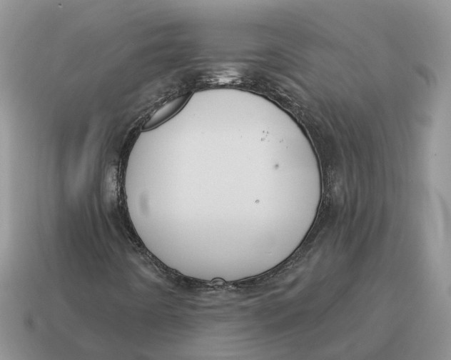 X0000114581442200911091226