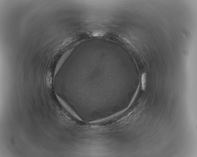 X0000114581443200911091226