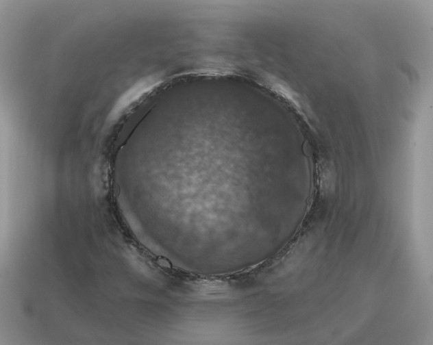 X0000114581448200911091226