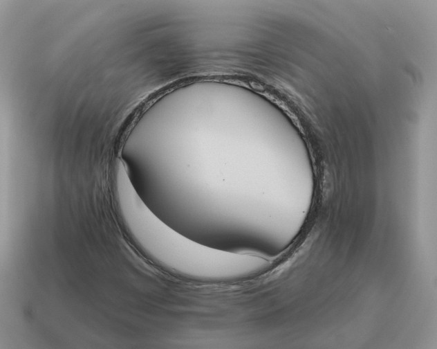 X0000114581449200911091226